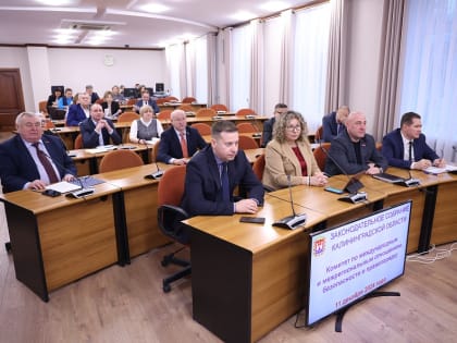 В Калининграде предложено штрафовать владельцев домашних животных