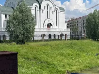 Вечерний @Калининград: пьянки в БСМП, рыбы-невидимки и не время «Новых»