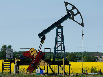 Министр энергетики РФ: Запад продолжает покупать газ и нефть из России обходными путями