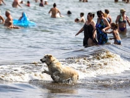 В Калининграде уже определили места для купания