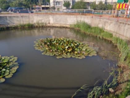 В Янтарном пожарные «спасли» пересыхающий водоём