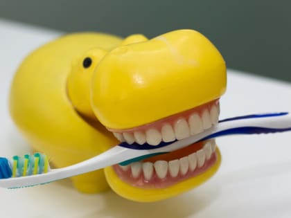 Стоматолог рассказал, как приучить ребёнка чистить зубы