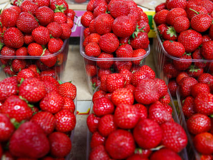 За январь-апрель в регион ввезли почти 320 тонн свежих ягод