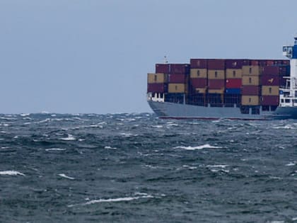 Вечерний @Калининград: больничные крысы, «золотой» круиз и насос преткновения