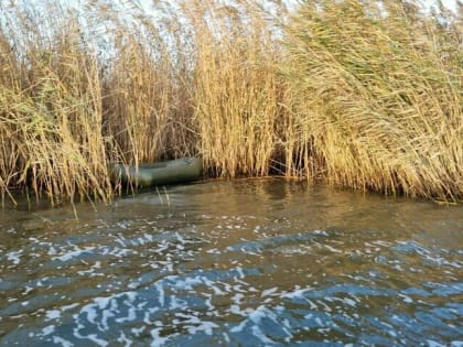 Под Светлым найдено тело 76-летнего рыбака, который накануне отправился на рыбалку и пропал