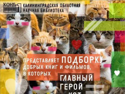 Подборка увлекательных книг и фильмов о кошках