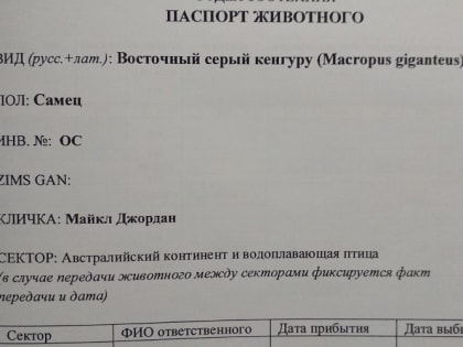 Кенгуру получил кличку!