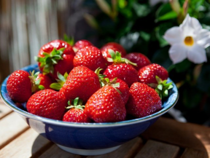 В Калининграде не приняли заражённую землянику из Сербии