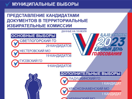 61 кандидат представил в территориальные избирательные комиссии документы на выдвижение для участия в муниципальных выборах