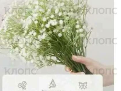 «Вот вам и бесплатная доставка!»: калининградцев возмутил скачок цен на товары в Wildberries