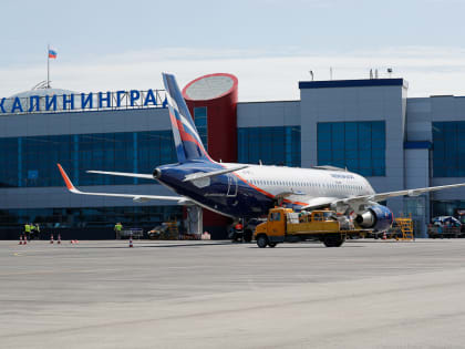 Руководство «Храброво» передумало строить отель у аэропорта