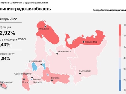 Импорт, логистика и свет: цены в Калининградской области растут быстрее, чем в целом по стране
