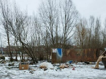 Бомжатник и выводки крыс: под окнами домов вблизи станции Кутузово-Новое растёт безобразная свалка (фото, видео)