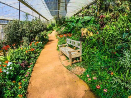 Алиханов предложил потратить 500 млн рублей на ботанический сад около Зеленоградска