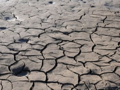 В Калининградской области ущерб от засухи превысил 322 млн рублей