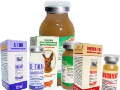 Возобновлена реализация лекарственных препаратов для ветеринарного применения «Церил»