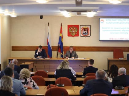 Сегодня состоялись первые в этом году заседания профильных комитетов Законодательного Собрания Калининградской области