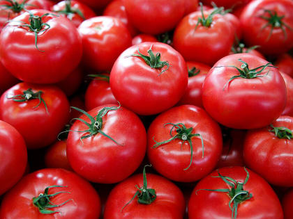 В Гвардейском районе из-за вируса мозаики пепино закрыли на карантин тепличное хозяйство