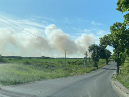 МЧС: на тушение пожара на полигоне в Круглово выехали 17 автомобилей (фото) (видео)