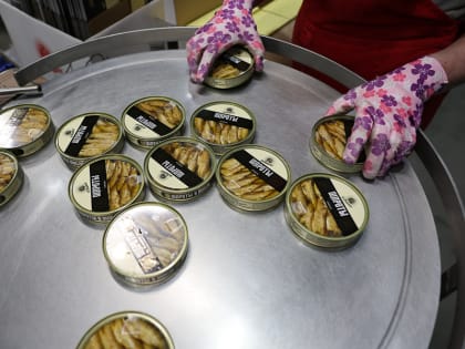 Экспорт рыбной продукции из Калининградской области в 2023 году снизился на треть