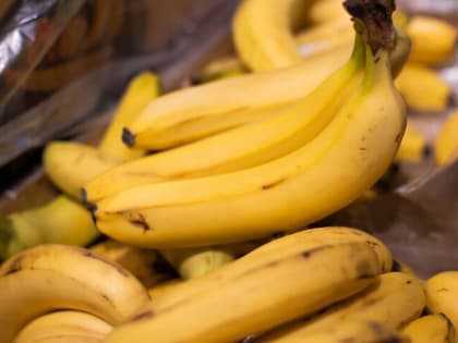 Названы три недорогих продукта, которые предотвращают рост раковых клеток