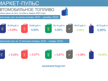 Небольшой «плюс»: как изменились за год цены на бензин (инфографика)