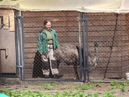 Птицы в Калининградском зоопарке отказываются выходить из карантина и покидать привычные вольеры