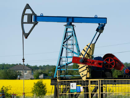 СМИ: Польша предлагает запретить импорт нефти из России