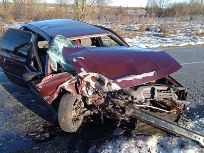 Под Славском «Фольксваген» влетел в дерево на повороте, пассажир в больнице (фото)