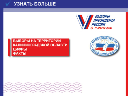 Ещё немного цифр об избирательной кампании по выборам Президента России