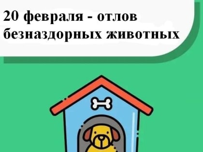 20 февраля — отлов безнадзорных животных