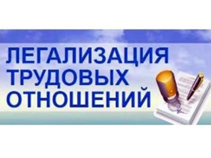 Легализация  трудовых  отношений  в  МО  «СГО»