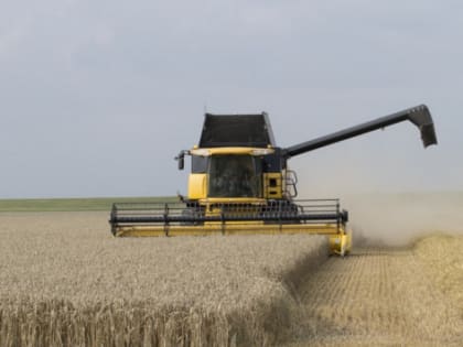 В Калининградской области засуха не помешает покрыть потребности в зерновых