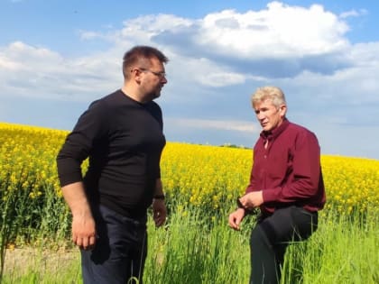 Привлечь нарушителей к ответственности и спасти пчёл