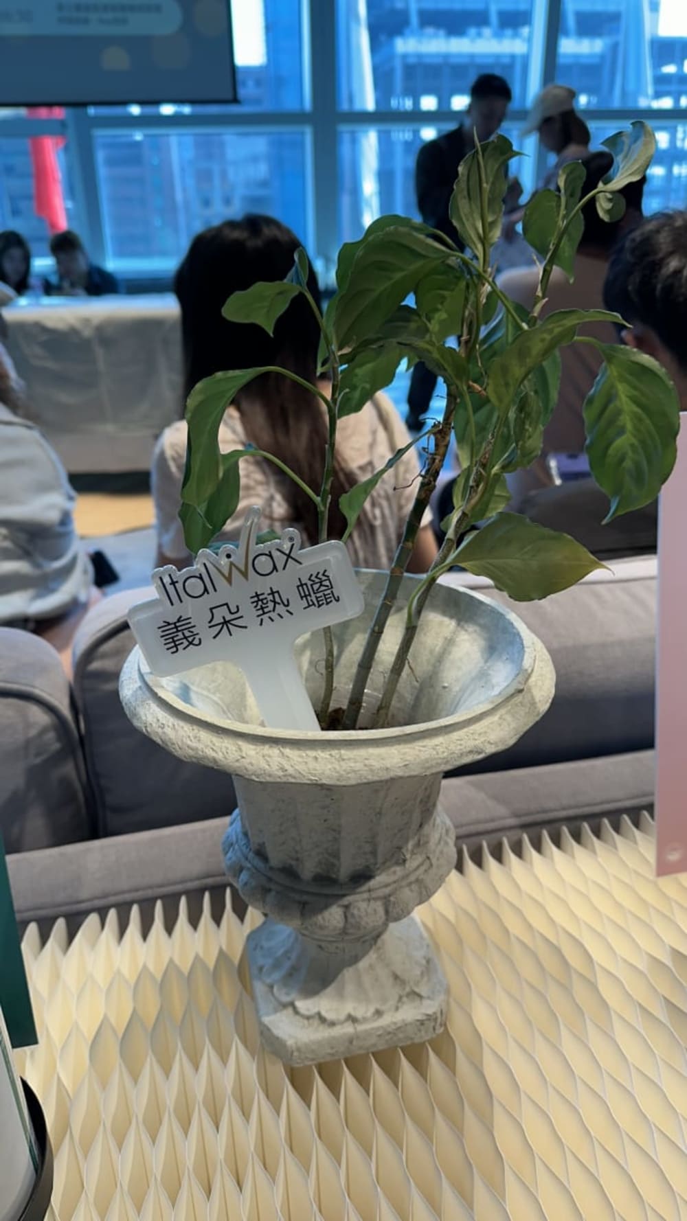 熱蠟除毛