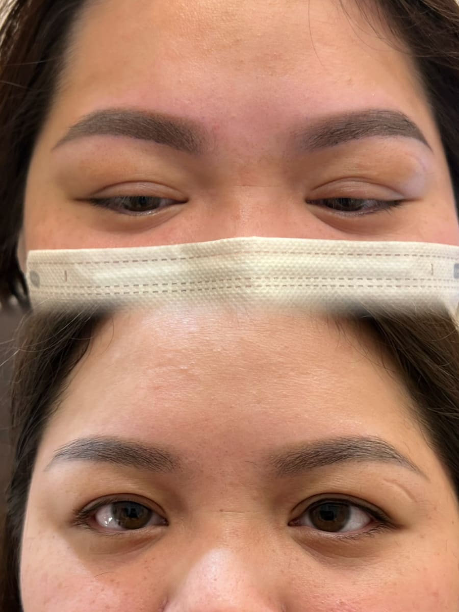 南投縣草屯鎮紋繡作品 — 小容老師 霧眉