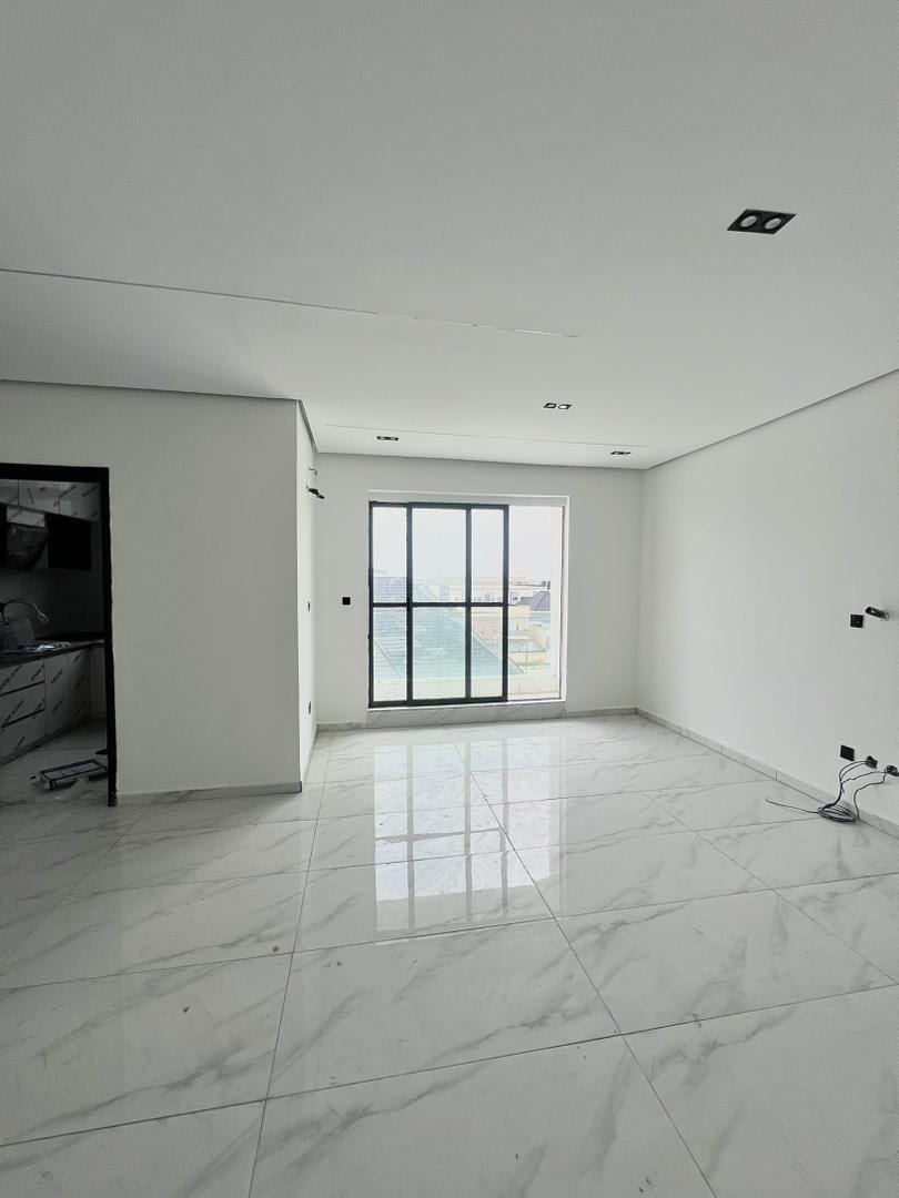 2BEDROOM APARTMENT • OLOGOLO, LEKKI • ₦150M - Image 4