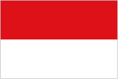 Timnas Indonesia