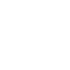 Suitcase Icon