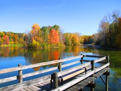 Dock and lake during autumn