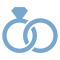 Ring icon