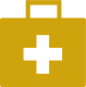 Medical briefcase icon
