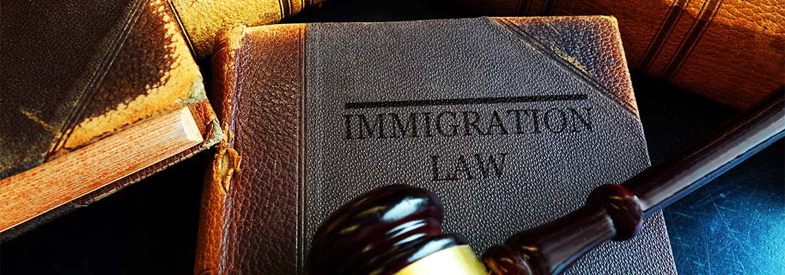 Gavel on top of book reading Immigration Law