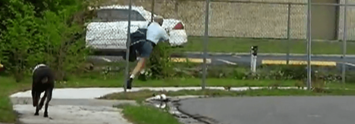 Dog chasing mail man