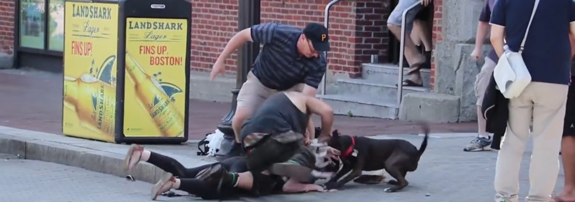 Dog attack