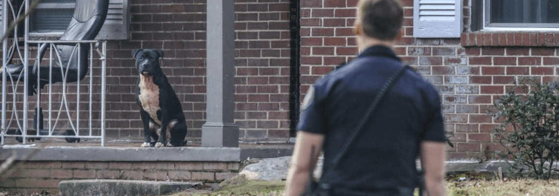 Cop approaching big dog