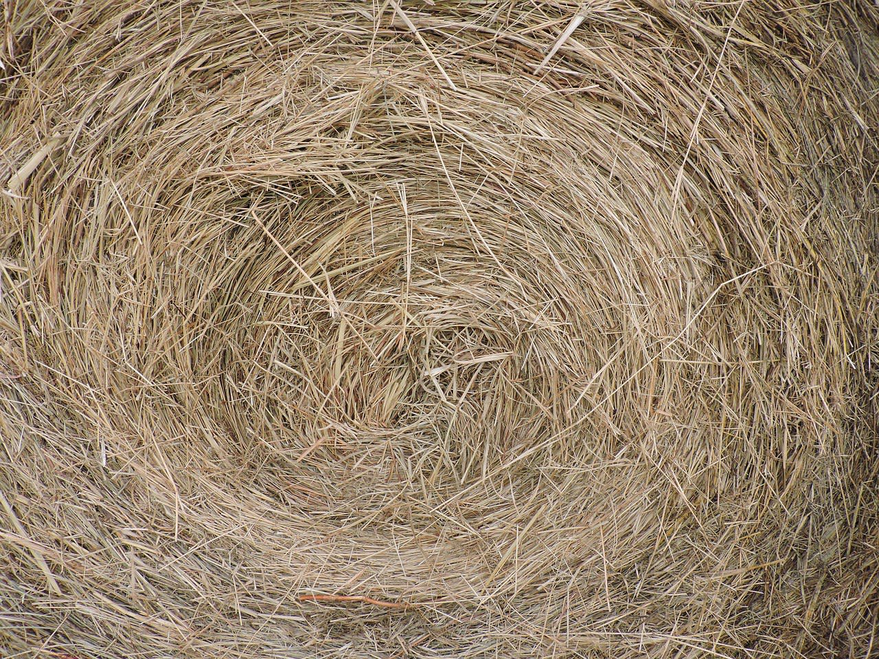 hay-bale-closeup.jpg