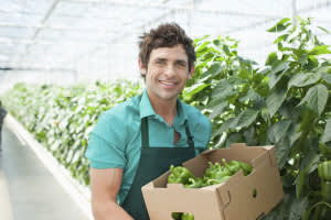 Employee holding a cardboard box filled with vegetables