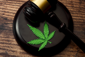 Marijuana Leaf on a Gavel