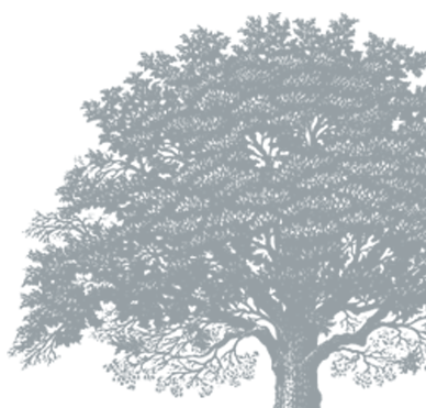 transparent-blue-tree